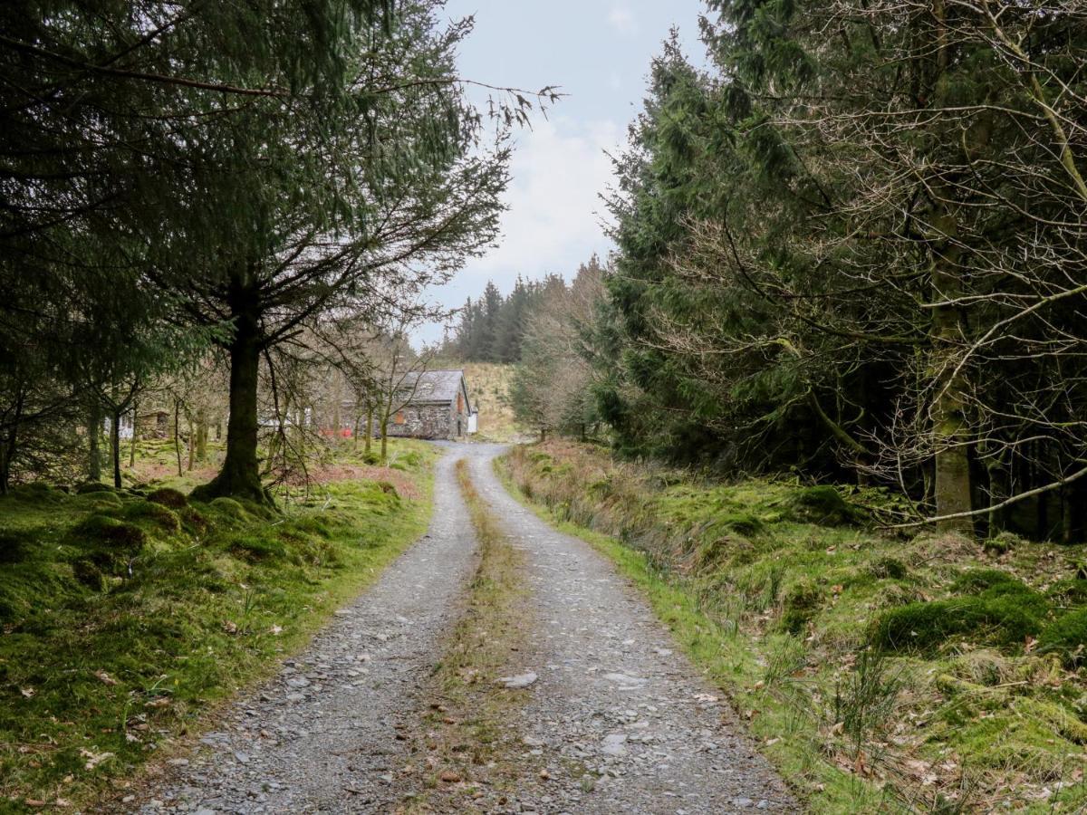 Brithgwm Canol Dolgellau Exterior foto